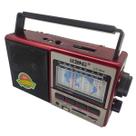 Rádio Am/Fm 11 Bandas Pendrive Cartão De Memória Le-604