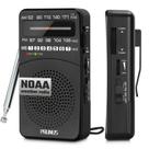 Rádio Meteorológico PRUNUS NOAA AM/FM Portátil a Pilhas