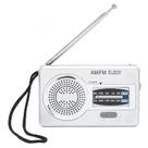 Rádio portátil Aqur2020 Aqur2020 AM/FM Pocket Silver Grey