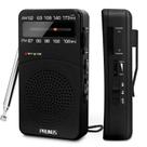 Rádio portátil PRUNUS J-166 AM/FM, operado por bateria