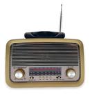 Rádio Retrô 3199 Caixa De Som Bluetooth Bivolt Recarregável Aleatorio 127/220v