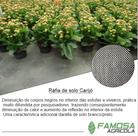 Rafia de solo carijó contra ervas daninhas 4,20x50 Rafia de solo carijó contra ervas daninhas 4,20x50