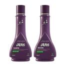 Raiz latina- DUPLINHA CACHOS PODEROSOS HOME CARE - 250ML