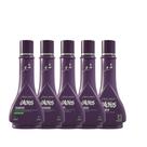 Raiz latina - KIT CACHOS HOME CARE - 250ML