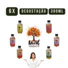 Raizal Kombuchas ZERO AÇUCAR Combo 06 x 300 ml Sortidas Raizal Kombuchas ZERO AÇUCAR Combo 06 x 300 ml Sortidas