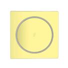 Ralo Click 10X10 Gold Jiwi