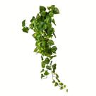 Rama Colgante Artificial de Potos Vickerman Everyday 39 pulgadas