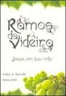 Ramos da Videira - Leepp