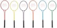 Raquete de badminton BSN Prism Pack Steel Head Twin Shaft Raquete de badminton BSN Prism Pack Steel Head Twin Shaft