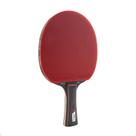 Raquete de Tênis de mesa Joola Match Pro