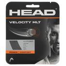 Raquete de tênis String Head Velocity MLT 12m 16 Gauge Black