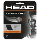 Raquete de tênis String Head Velocity MLT 40' Set 17 Gauge Black