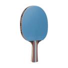 Raquete JOOLA Infinity Balance (azul)