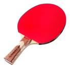 Raquete Ping Pong Speedo Icebreaker Raquete Ping Pong Speedo Icebreaker