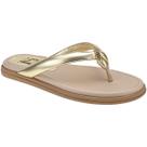 Rasteirinha Sola Baixa com Palmilha Confort Macia Chinelo de Strass Pedraria 711-637