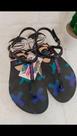 Rasteirinhas havaianas