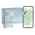 Rastreador GPS para Cachorros Tractive 2025 - Localização em Tempo Real