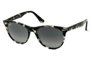 Ray ban wayfarer ii rb2185 1333/71 55