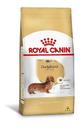 Rc dachshund ad 1kg