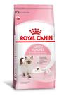 Rc kitten 1.5kg