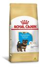 Rc yorkshire puppy 1kg