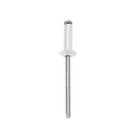 Rebite Repuxo 4,0x16 Alumínio Branco Pintado Pop 100un Rebite Repuxo 4,0x16 Alumínio Branco Pintado Pop 100un