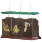 Recipiente de Compostagem Educacional See-Through STEM - Brinquedo Educativo