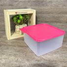 Recipiente Tupperware Basic Line 2,5 Litros - Transparente e Rosa