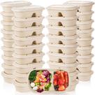Recipientes para alimentos Yesland, 50 unidades, 1000 ml de bagaço, 2 compartimentos Recipientes para alimentos Yesland, 50 unidades, 1000 ml de bagaço, 2 compartimentos