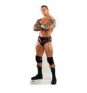 Recorte de Tamanho Real de Papelão Randy Orton WWE