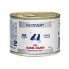 Recovery Royal Canin Veterinary Ração Lata Cães e Gatos 195 g - 1 unidade Recovery Royal Canin Veterinary Ração Lata Cães e Gatos 195 g - 1 unidade