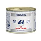 Recovery Royal Canin Veterinary Ração Lata Cães e Gatos 195 g Recovery Royal Canin Veterinary Ração Lata Cães e Gatos 195 g