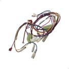 Rede Elétrica Microondas Brastemp Consul 220v W10160070 Rede Elétrica Microondas Brastemp Consul 220v W10160070