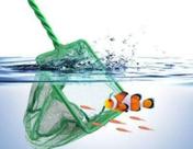 Rede redinha fish net para aquarios , 4'' 10x08x32cm Fn-040