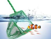 Rede redinha fish net para aquarios 8'' 20x15x35 cm fn-8