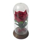 Redoma Cúpula A Rosa Encantada A Bela E A Fera / Base Ouro P Rosa Vermelha