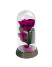 Redoma Cúpula A Rosa Encantada A Bela E A Fera / Pequeno Príncipe Base Ouro P Rosa Pink
