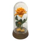 Redoma Rosa Laranja A Rosa Encantada do filme a A Bela e A Fera O Pequeno Príncipe Amor Lindo