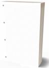Refil Argolado 90g 80 Folhas Pontilhado Caderno Fichario