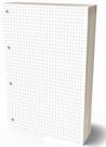 Refil Argolado 90g 80 Folhas Quadriculado Caderno Fichario