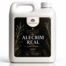 Refil Aromatizador de Ambeintes e Água de lençóis Alecrim Real Lelis Blanc Pronto Para Uso Varetas, Tecidos, lojas e ambientes em geral Refil Aromatizador de Ambeintes e Água de lençóis Alecrim Real Lelis Blanc Pronto Para Uso Varetas, Tecidos, lojas e ambientes em geral