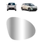 Refil byd mini dolphin 24/ retrovisor ld (c/ base) (c/ desembacador) - imp