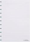Refil Caderno Inteligente 50f G Pautado CIRG4003