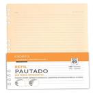 Refil caderno organizador 40 fls polen 90g pautado 17x24 cicero