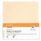 Refil Caderno Organizador 40 Fls Polen 90G Pautado 17X24