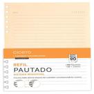 Refil caderno organizador 40 fls polen 90g pautado a5 cicero