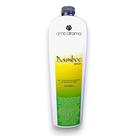 Refil de Aromatização em Spray - Bamboo 1L - Fragrância Floral Amadeirada