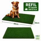 Refil De Grama Sintética Para Sanitário Higiênico Animal 2 Unidades Pet