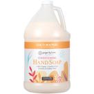 Refil de sabonete líquido para mãos Ginger Lily Farms Coco Mango 3.8L