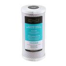 Refil Filtro Carbon Block Big Blue 10" HEX H10BB Carvão Ativado